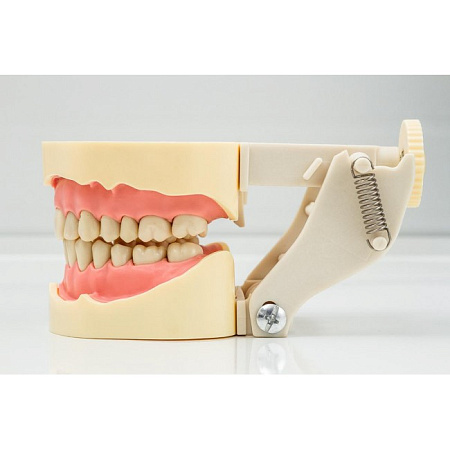 Jingle JG-J1 - фантомная челюсть